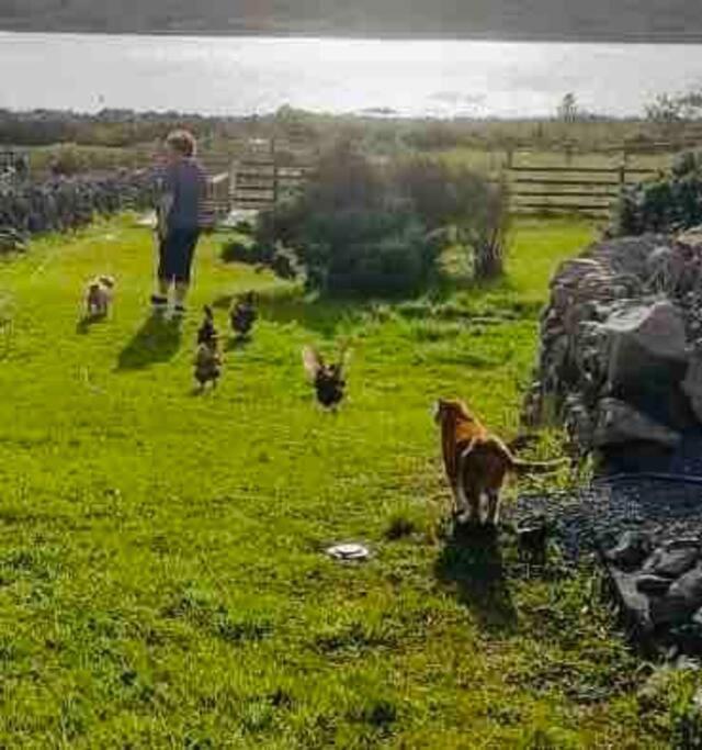 Apartamento Curlews Rest - Gateway To The Aran Islands Galway